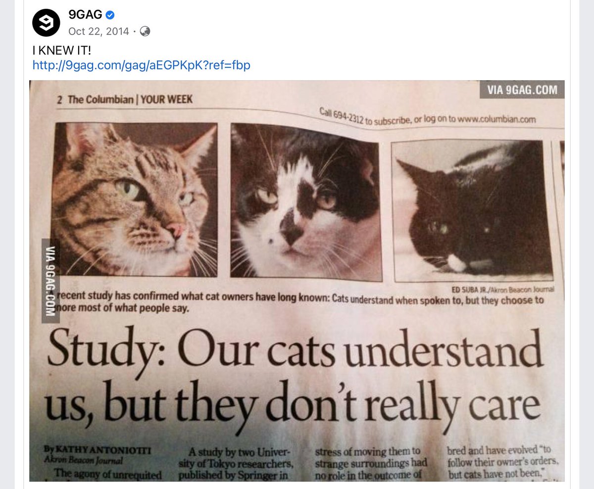 brightsigurista's tweet photo. 9gag = home of memes
#catecoin = meme coin with #meme2earn feature 
#Purrfect #CateArmy #Memes #9gag  #Catsof9gag #CatsofTiktok #CatsofTwitter #CatsofFB #CatsofIG https://t.co/jNeLHoBykB