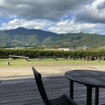 ツイートに含まれる画像