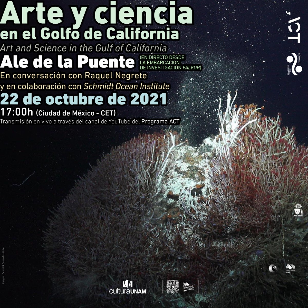 HOY
Arte y ciencia en el Golfo de California, con la artista <a href="/AledelaPuente/">Ale de la Puente</a> y la investigadora Raquel Negrete
Enlace ship-to-shore desde la embarcación Falkor de <a href="/SchmidtOcean/">Schmidt Ocean</a>
Transmisión a las 5 pm, youtube.com/ProgramaACT