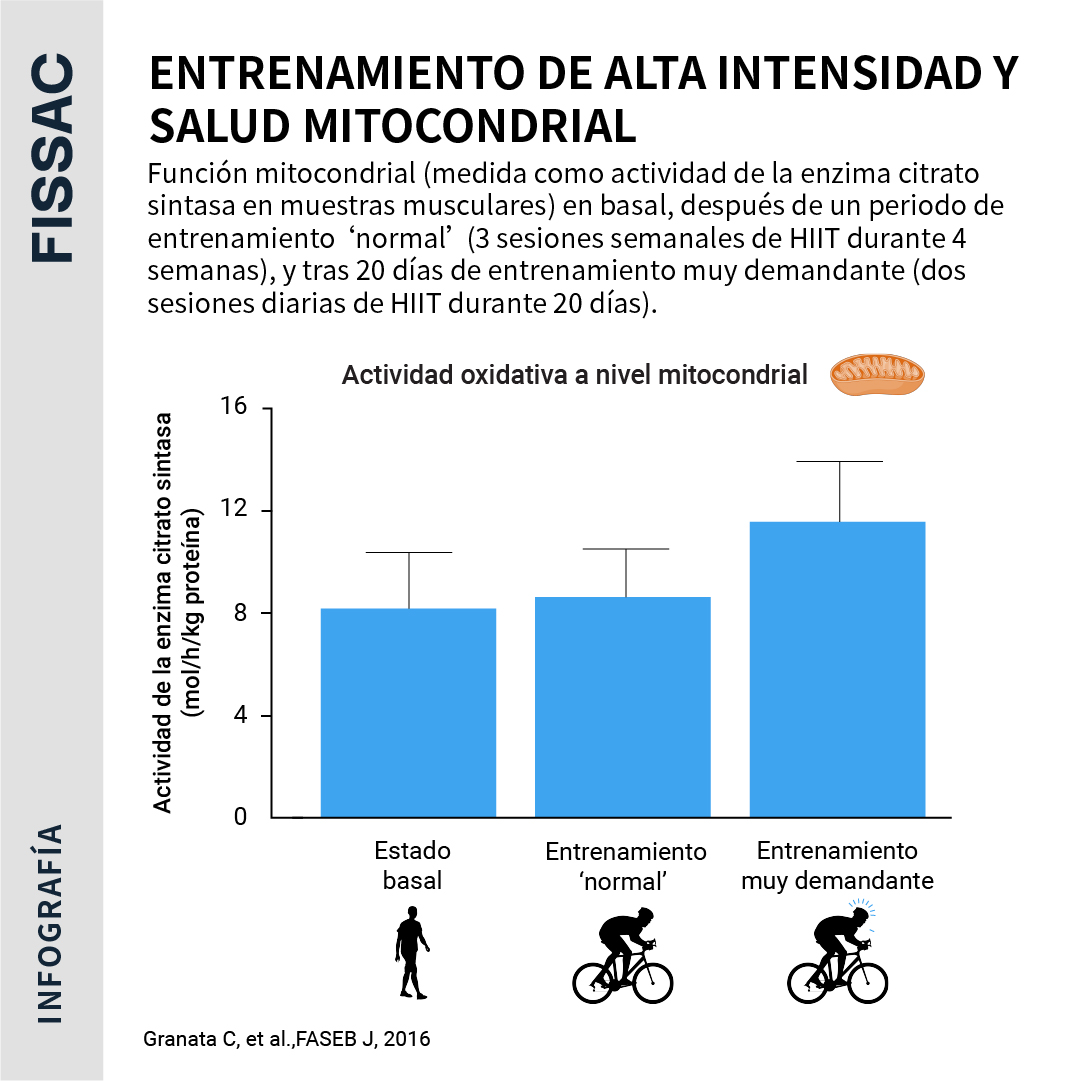 Fissac_es's tweet image. 🔥El HIIT se ha puesto muy de moda en estos años

🔬Este estudio muestra que la salud mitocondrial mejoró después de un protocolo de HIIT altamente fatigante

✍️Analizamos el papel del ejercicio de alta intensidad en la salud mitocondrial

Puedes leerlo 👇
fissac.com/puede-el-entre…
