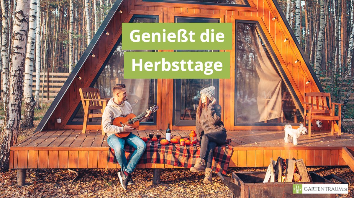 Macht Euch den Herbst im Garten
kuschlig! In der bunten Zeit ist genug Platz für warme
Gefühle und romantische Liebeserklärungen 👉
gartentraum.de/magazin/liebes…
#garten #gartenliebe #gartentraum #love