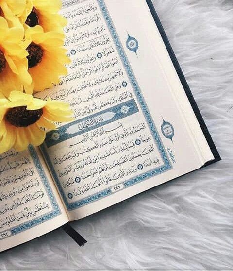 صباح يتجلى بِنور الكهف ... ودعواتٌ ملحة بِساعة لا يرد فيها الدُعاء وعطرٌ يفوح بِالصلاة 
على سيدنا םבםב ﷺ♥️'