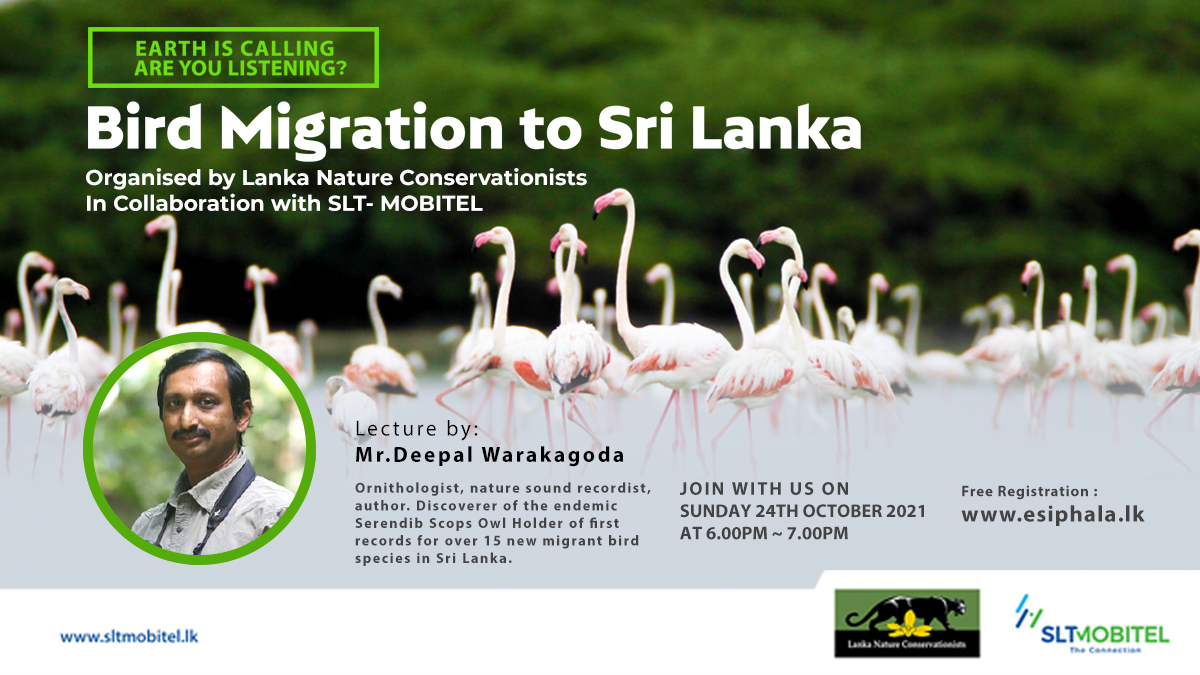 SriLankaTelecom's tweet photo. Keep the date & time locked for our latest webinar, update your knowledge on migratory birds with Mr. Deepal Warakagoda.
#EarthIsCalling #SLTMOBITEL #eSiphala #onlinelearning #webinar https://t.co/rx86ePJQYt