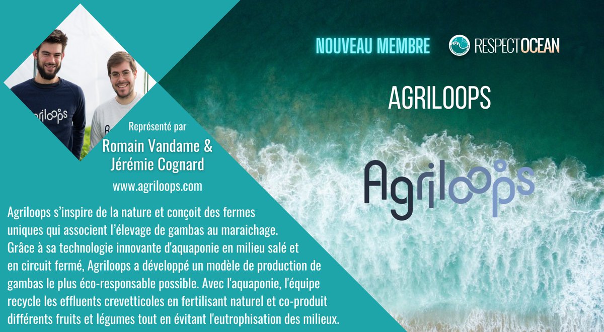 Respect_Ocean's tweet photo. 📣🌊[BIENVENUE] Nous sommes heureux d'accueillir un nouvel adhérent @agriloops , qui associe l'élevage de gambas au maraichage et a développé un modèle de production de gambas le plus éco-responsable possible.

▶️ Découvrir Agriloops : https://t.co/qt9pfmZKYt

#aquaponie #ocean https://t.co/5eu7bqtnKa