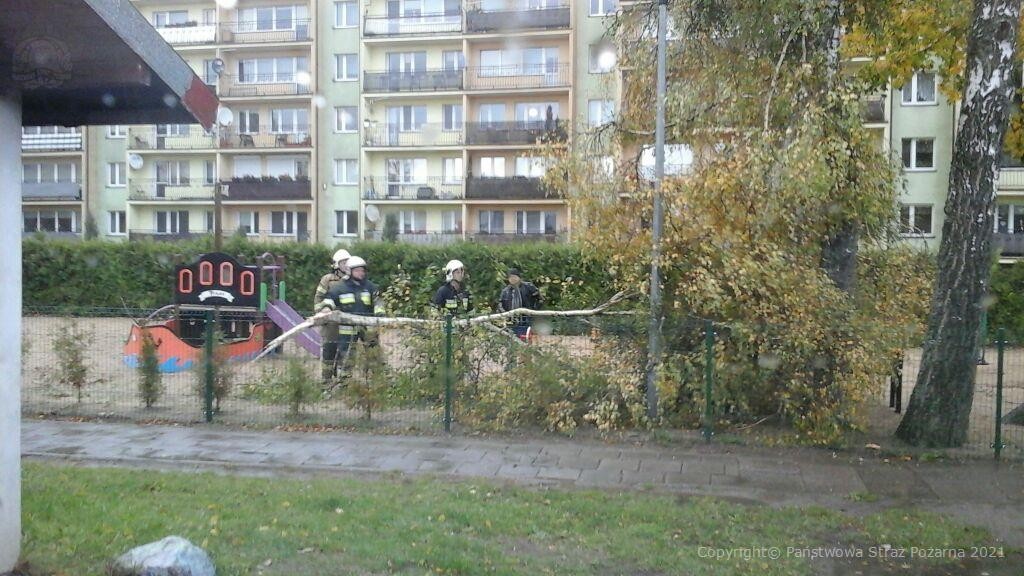 KP_PSP_Chojnice's tweet photo. Licząc od dnia wczorajszego od godziny 11:00 do dzisiejszego poranka odnotowaliśmy łącznie 26 zdarzeń związanych z usuwaniem skutków silnego wiatru. 
Rozkład zdarzeń:
Miasto Chojnice – 7
Gmina Chojnice - 4
Gmina Brusy – 1 
Gmina Czersk – 14
Konarzyny – 0 https://t.co/fxjdnW0ngM
