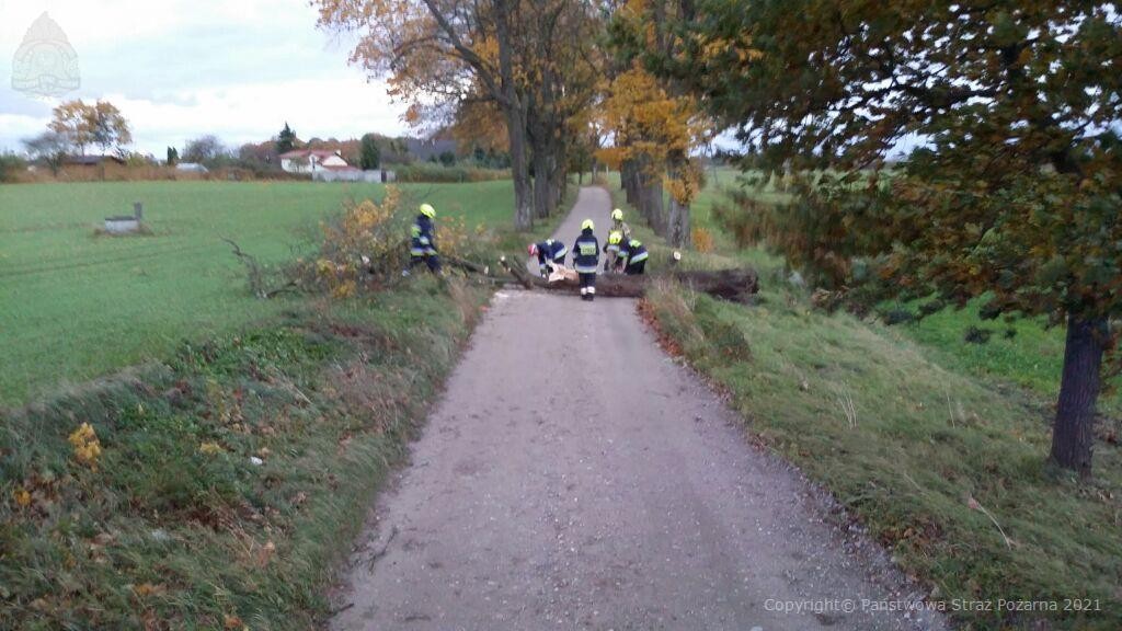 KP_PSP_Chojnice's tweet photo. Licząc od dnia wczorajszego od godziny 11:00 do dzisiejszego poranka odnotowaliśmy łącznie 26 zdarzeń związanych z usuwaniem skutków silnego wiatru. 
Rozkład zdarzeń:
Miasto Chojnice – 7
Gmina Chojnice - 4
Gmina Brusy – 1 
Gmina Czersk – 14
Konarzyny – 0 https://t.co/fxjdnW0ngM