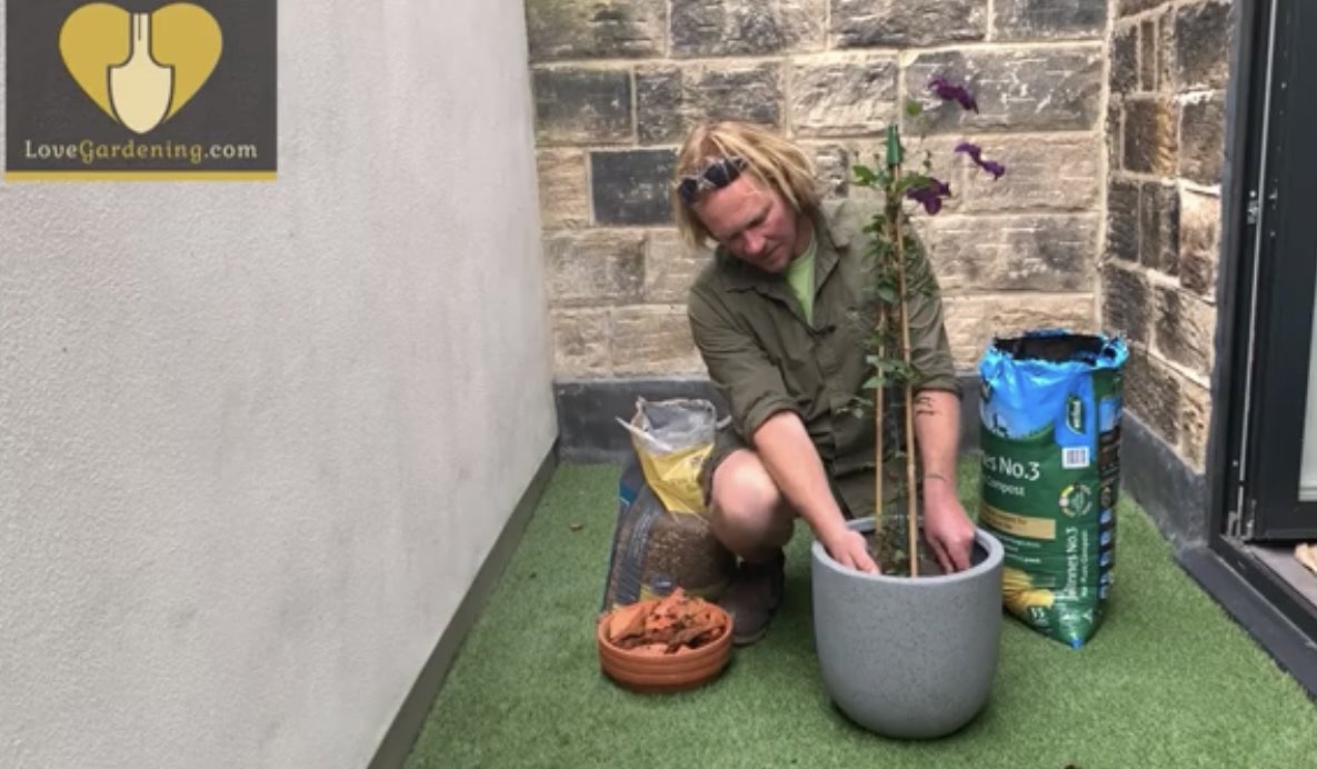 The #OffGrid Gardener (@digchrismyers) on Twitter photo as the #weather cools and #autumn sets in it becomes the perfect time for us #gardeners to get on with a bit of #planting 😃
here’s my helpful video showing you how to plant climbers in pots and train them up a wall 👍
with <a href="/LoveGardening2/">LoveGardening</a>
youtu.be/cAzDNsEpV6w as the #weather cools and #autumn sets in it becomes the perfect time for us #gardeners to get on with a bit of #planting 😃
here’s my helpful video showing you how to plant climbers in pots and train them up a wall 👍
with <a href="/LoveGardening2/">LoveGardening</a>
youtu.be/cAzDNsEpV6w