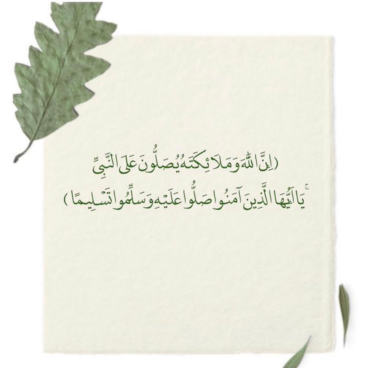 وماتوفيقي الا بالله tweet media