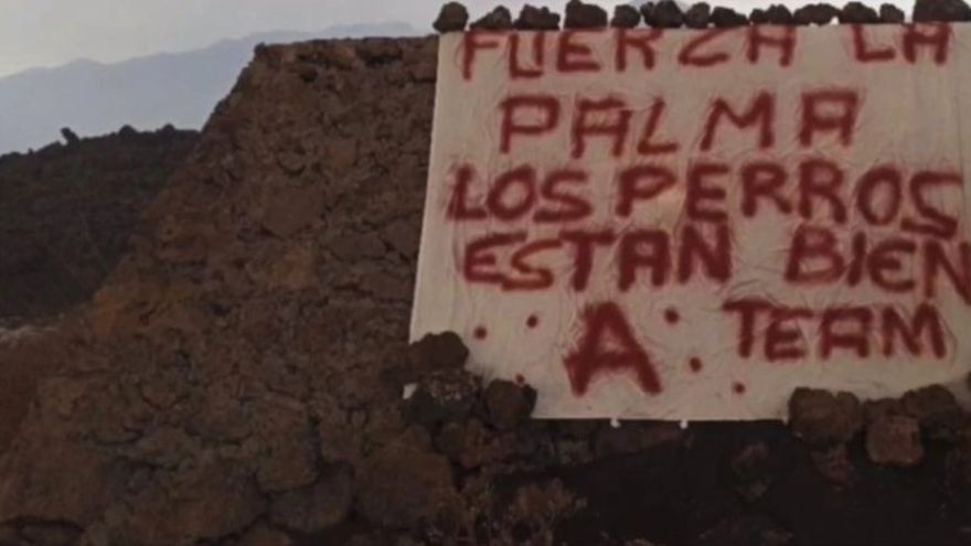 perezreverte's tweet photo. Hartos de tanta burocracia, tanto perimetraje y tanta cagadita de rata en el arroz. Mis respetos. https://t.co/3rtPkP8jpn