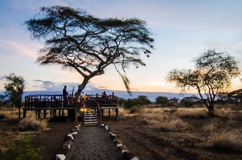 goplacesdigital's tweet image. October Discounted Safari Offers - @Sentrim_Hotels 

Meet us at the Getaway 2021 Tourism Fair @SaritThe 29th to 31st Oct 2021 @SaritYourCity 

goplacesdigital.com/october-discou…

#sentrimhotels #magicalkenya #rediscoverkenya #goplaceskenya #safari #tsavo #amboseli #masaimara #tembeakenya