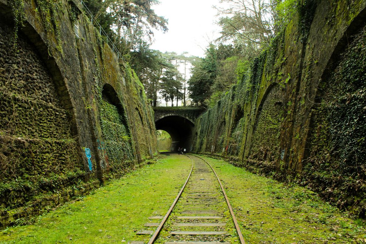LELUD7's tweet photo. Aujourd’hui, un grand classique de l’Urbex : Histoire de la Petite Ceinture Parisienne #urbex #loisirs #TempsLibre
https://t.co/lY0ytkFop1 https://t.co/QVvnQnL3kp