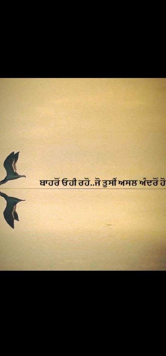 aman86171416's tweet photo. #Sameonyoubjp
#modimurdabaad
#KisanMajdoorEktaZindabaad
#KisanAndolan
#kisanmorcha
#fuckofmodi https://t.co/NLJc3opJrD