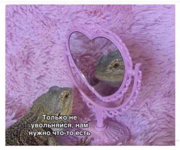 yadeathcoree's tweet photo. Ы https://t.co/9q3aHCcMtC