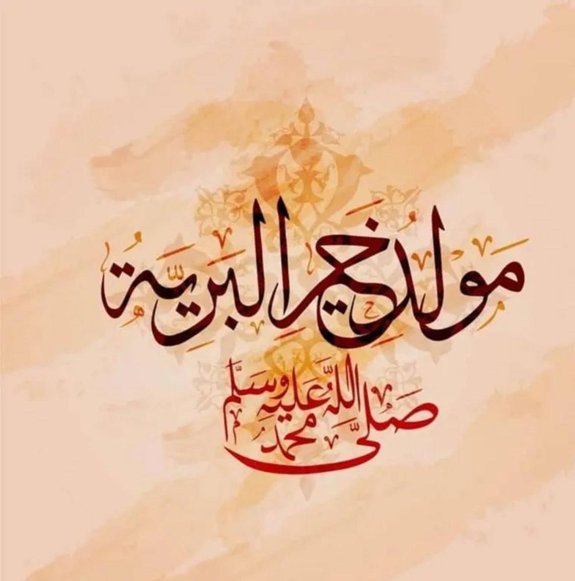mullasoud's tweet photo. https://t.co/8WVxWEEs9B