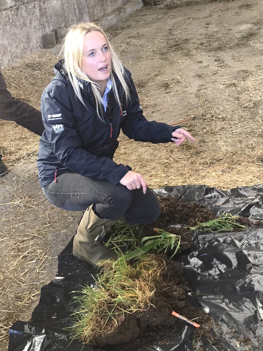 Really enjoyed meeting with <a href="/FellsOrton/">Orton Fells Farmer Cluster</a> discussion group yesterday along with our soil specialist Rebecca Firth to discuss soil health, herbal leys and all things farming! 🪱🐮🐑🌱 <a href="/HLHNorthernTeam/">Hutchinsons Northern Team</a> @Hutchinsons_Ag <a href="/ssmsoilhealth/">Sustainable Soil Management</a> @RebeccaCreasey