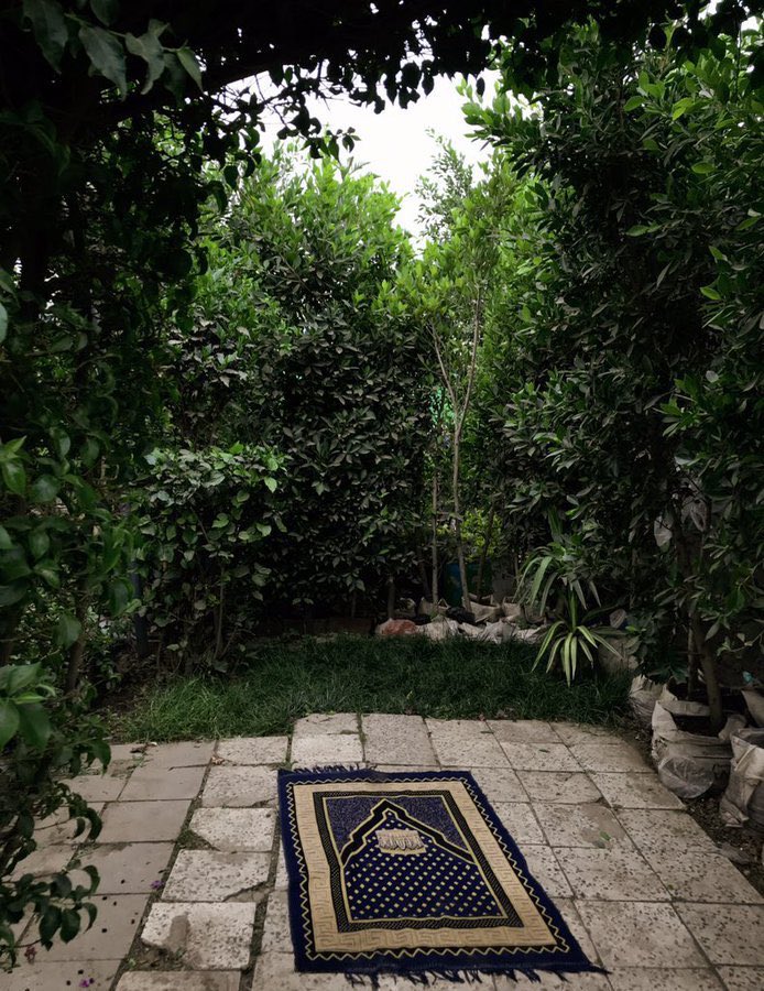 ILilllh's tweet photo. لا حول ولا قوة إلا بالله"
تدكّ الهموم والشدائد والصعاب دكًّا!
ولو استشعر صاحب الحاجة معناها 
وهو يُردِّدها لما فترَ لسانه عنها. https://t.co/C3Os7LCoac