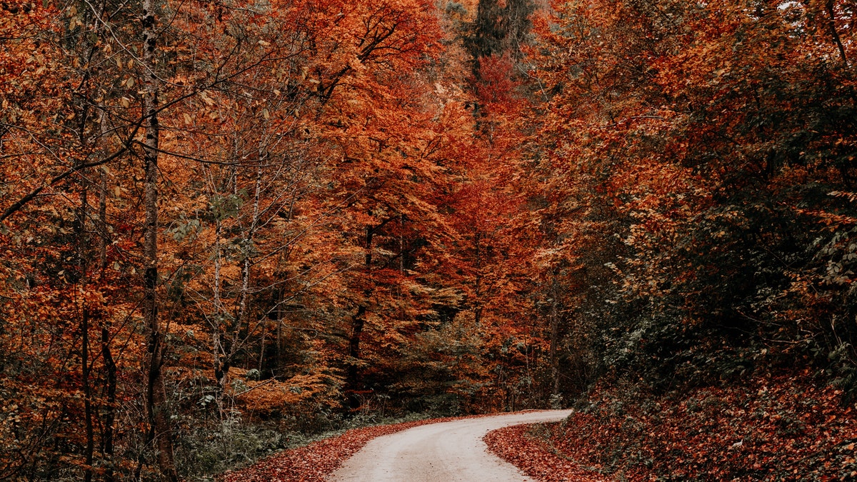 Are you planning a staycation this October half term? We've listed five epic road trips around the UK you might want to consider #Staycation #Autumn #Roadtrips ow.ly/IeQC50Glds0