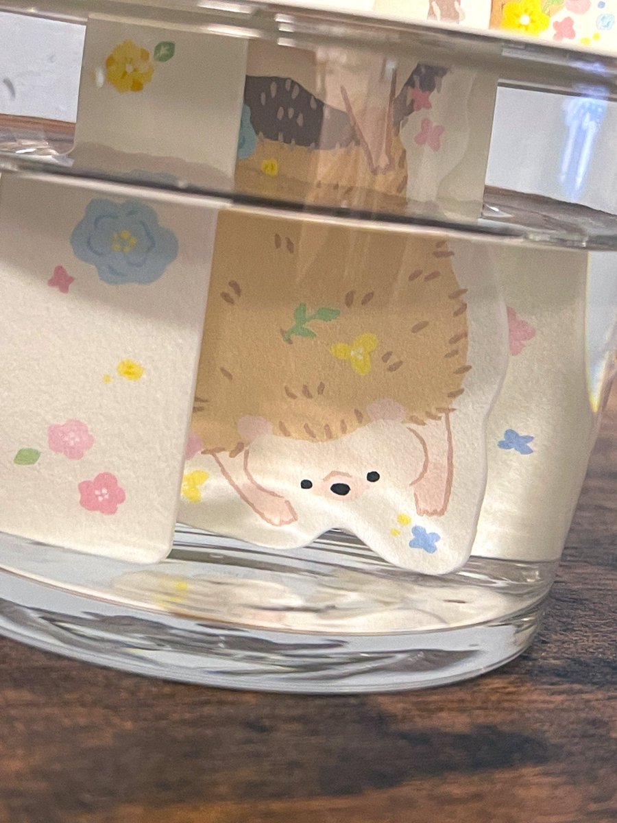 Soy_Hedgehog's tweet photo. ダイソーで紙の加湿器買ってきた。
水中にも一匹いるの、可愛い🦔💕 https://t.co/2pJjyDx35K