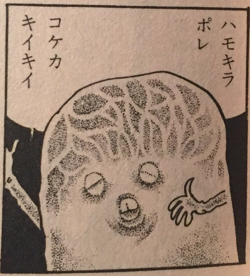 ハモキラポレ 