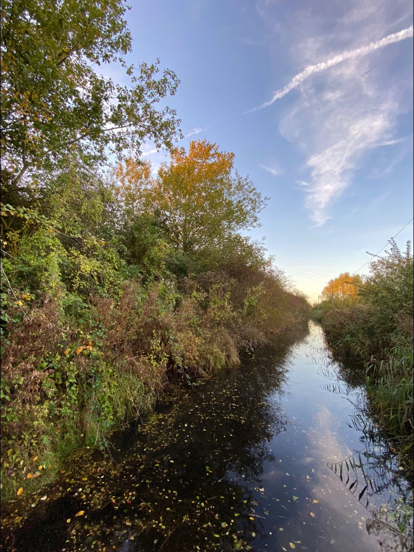 Poppy Patrol tweet media