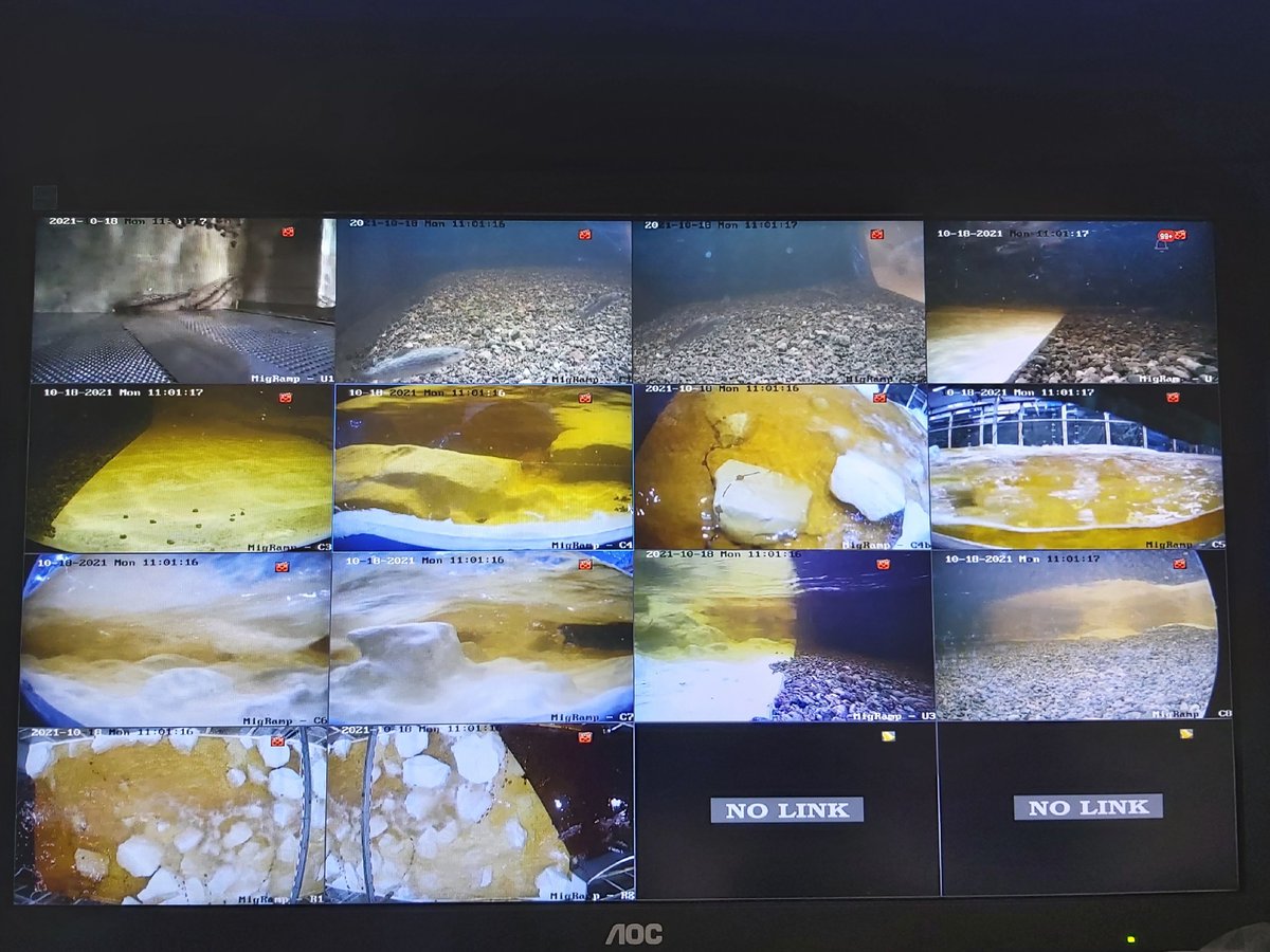 bachlaeufer's tweet photo. Probably the best monitored block ramp (model) ever 😄🧐🐟
#FlumeFriday #migramp #tubraunschweig #ecohydraulics #vattenfall
@tuBraunschweig
@VattenfallGroup
@umweltstiftung https://t.co/2Q8f0mHs4M