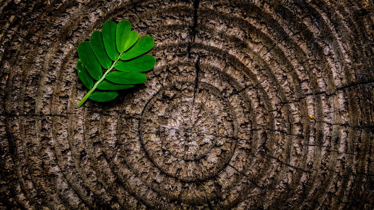 Looking forward to today's Culture, Climate and Carbon Footprints panel @amadigital with @selinaocean @RayOudkerk @NatHistGirl + @ProducerBev, moderated by JB's @sustafest, talking #CreativeClimateAction responses

Join us at 1:15pm: a-m-a.co.uk/conference/pro…