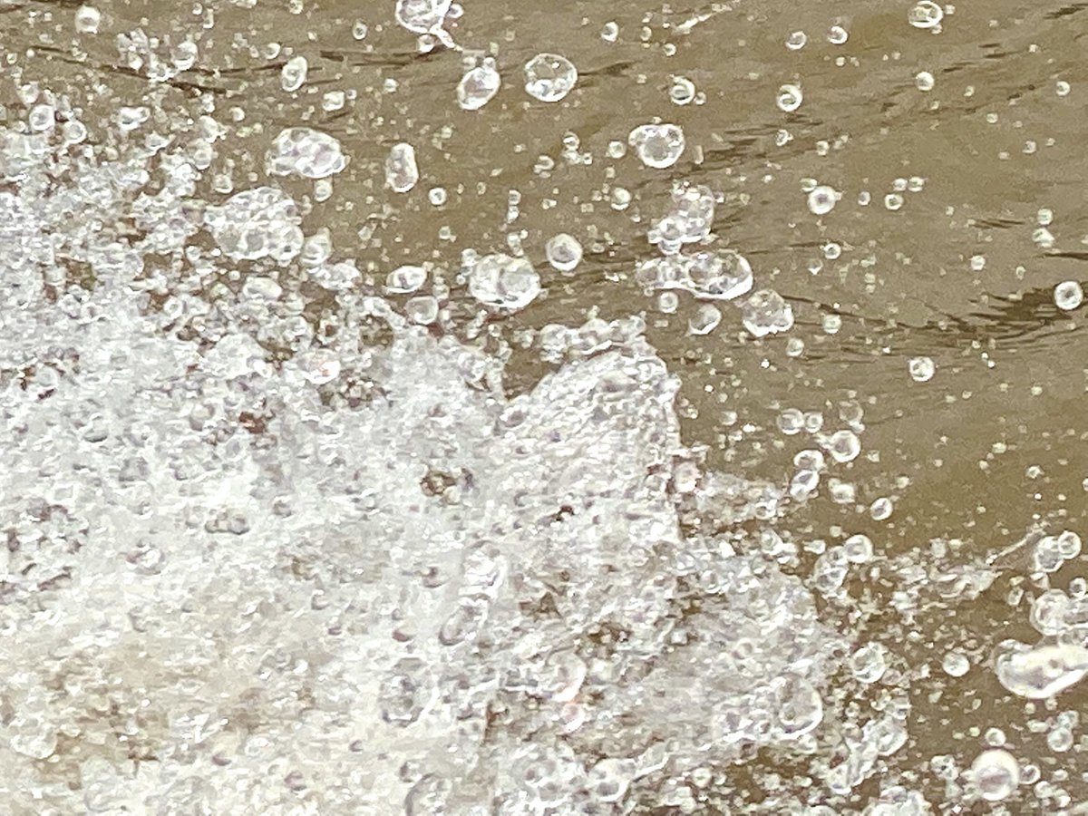 Russell Crowe tweet media