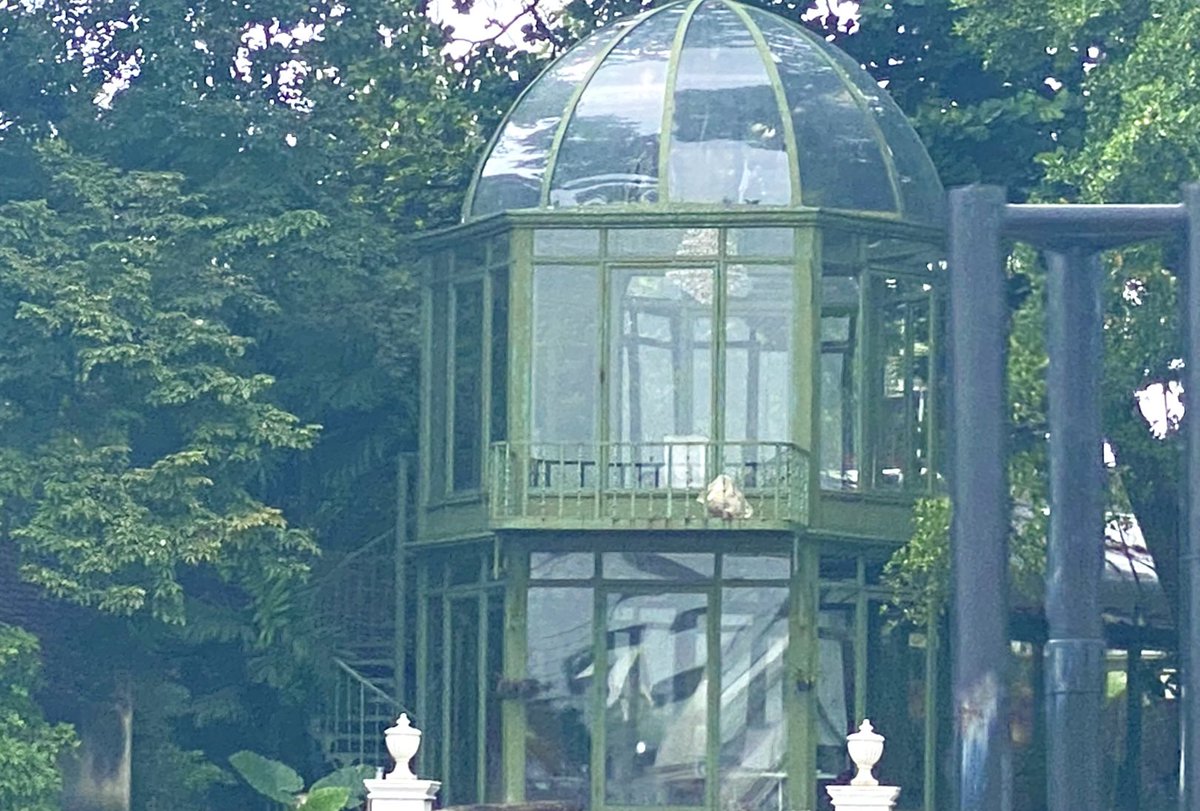 Russell Crowe tweet media