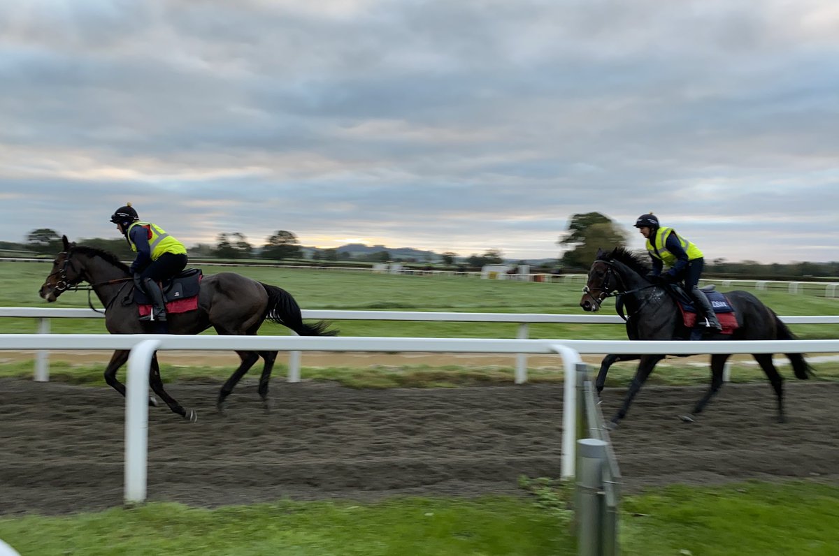 CindaGould's tweet photo. It’s all getting a bit competitive in Ditcheat ahead of @wincantonraces Charity Race on Sunday…here are @hanroche1 &amp; Sarah West giving their mighty steeds a tune-up ahead of the big day 🤩🤞🏻🏇🏻 https://t.co/SEIsDRf9iG