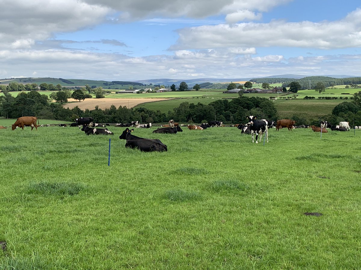 henryschol2's tweet photo. Assistant Herdsperson/ General Farm Worker required for Brackenburgh Home Farms, North Cumbria.
See below.
Please contact me for more information.
Retweet’s appreciated! https://t.co/aJI4OrQryD