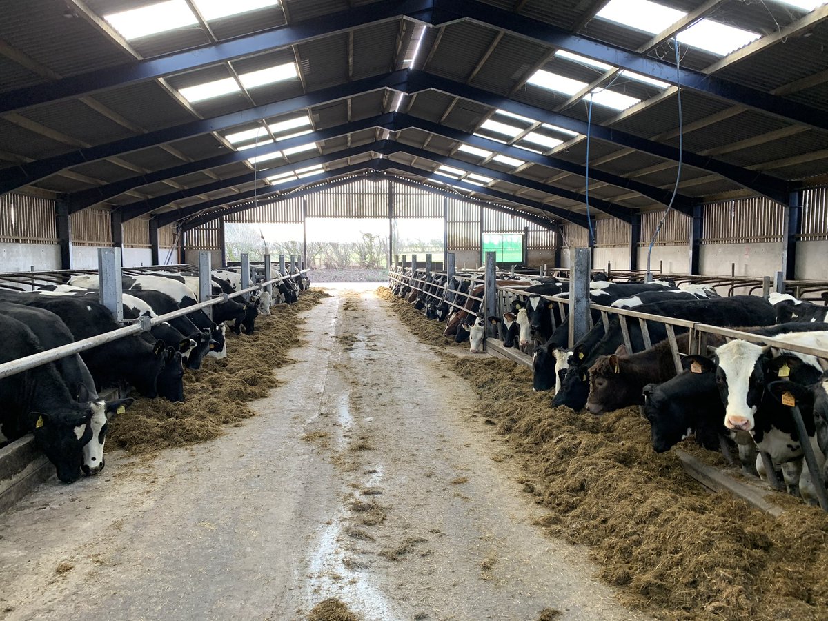 henryschol2's tweet photo. Assistant Herdsperson/ General Farm Worker required for Brackenburgh Home Farms, North Cumbria.
See below.
Please contact me for more information.
Retweet’s appreciated! https://t.co/aJI4OrQryD