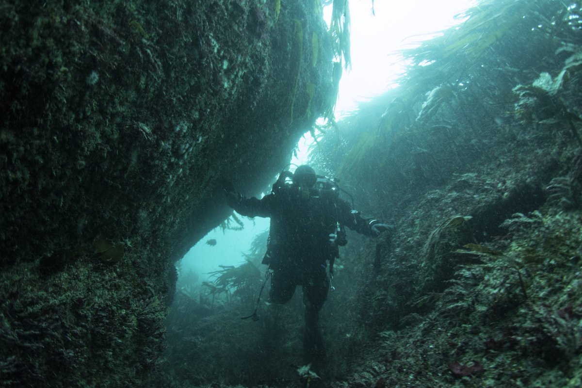 HE_Maritime's tweet photo. #OnThisDay in 1707 Sir Cloudesley Shovell's ship Association struck Gilstone Ledges, Isles of Scilly. Explore the site with the virtual dive trail from #CISMAS
https://t.co/RlRQBGV9pA https://t.co/rMMwPFBhlO