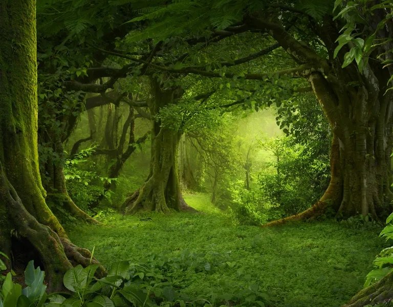 𝙇𝙞𝙨𝙩𝙚𝙣 𝙘𝙡𝙤𝙨𝙚𝙡𝙮, 𝙖𝙣𝙙 𝙮𝙤𝙪 𝙘𝙖𝙣 𝙝𝙚𝙖𝙧 𝙩𝙝𝙚 𝙨𝙚𝙘𝙧𝙚𝙩𝙨 𝙤𝙛 𝙩𝙝𝙚 𝙬𝙤𝙧𝙡𝙙.

#GIRP #OCRP #MVRP