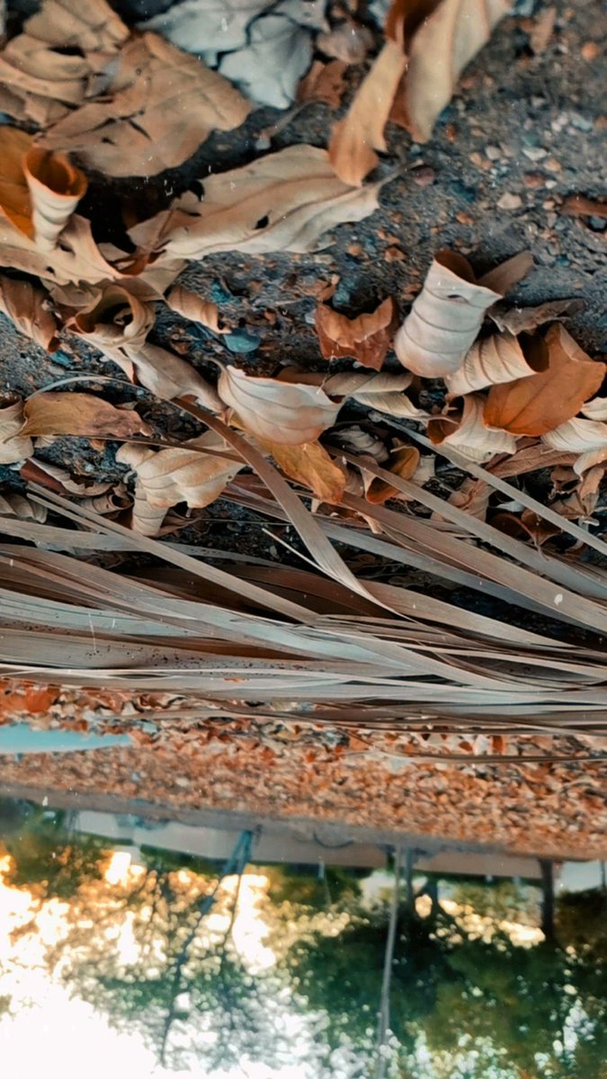 إلتقاطات السادسة صباحـًا✨