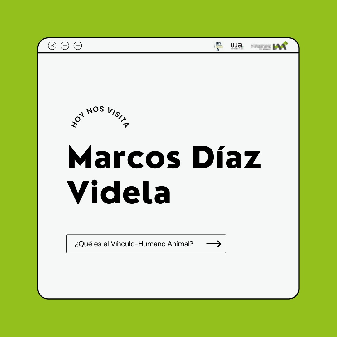 MasterIAA's tweet photo. No te pierdas la intervención de @MarcosDiazVidel en la Conferencia Inaugural del Máster.
Sigue el acto en directo a partir de las 18:30h en:
https://t.co/1RPlm4PgAR
#masteriaa #formacion #intervencionesasistidasconanimales #postgrado #universidad #andalucia #perros #caballos https://t.co/7yFIc50GVP