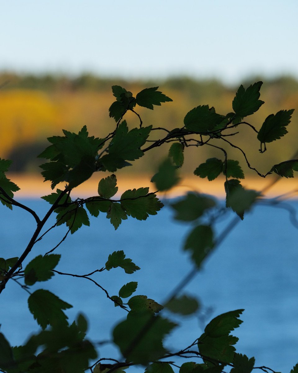 HLonneborg's tweet photo. Förorten. #bredäng #stockholm https://t.co/onArP2i35k