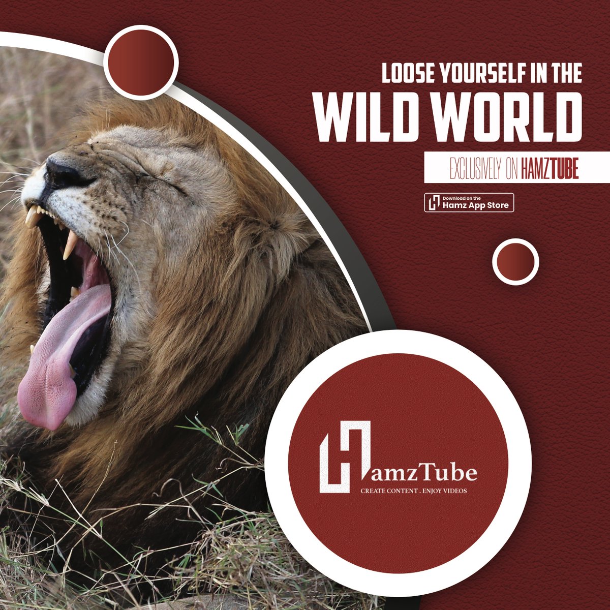 Hamzonline's tweet photo. Loose yourself in the wild world on #hamztube
https://t.co/9sshwMA0io https://t.co/qZWCwCAiBR