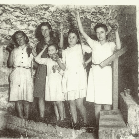 cep tina vi tweet media