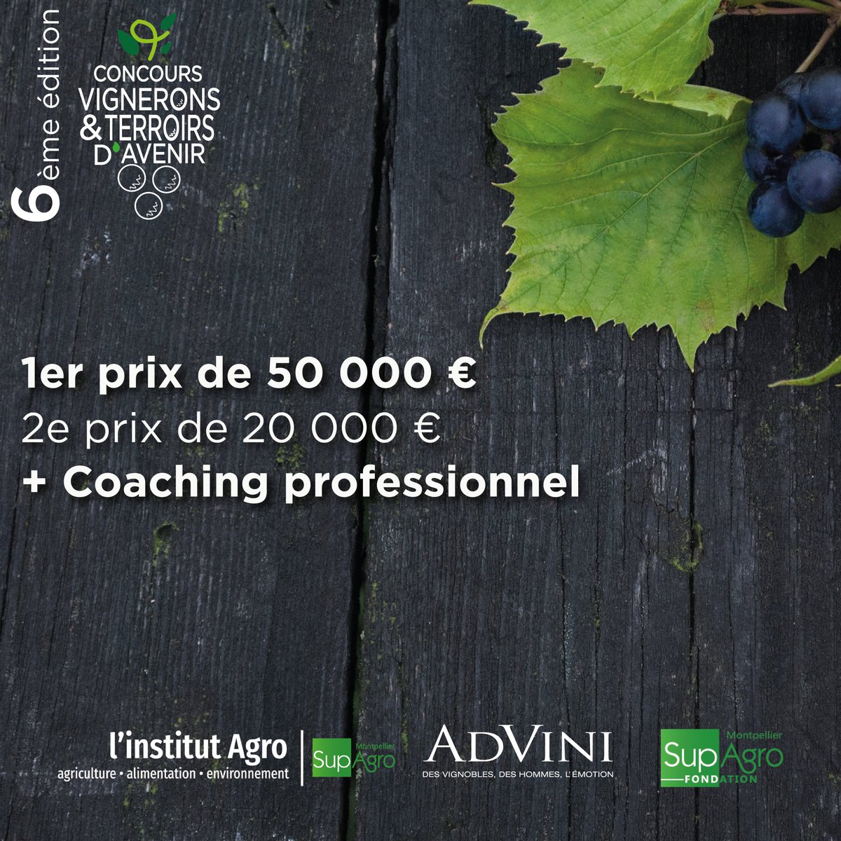 L'Institut Agro Montpellier tweet media