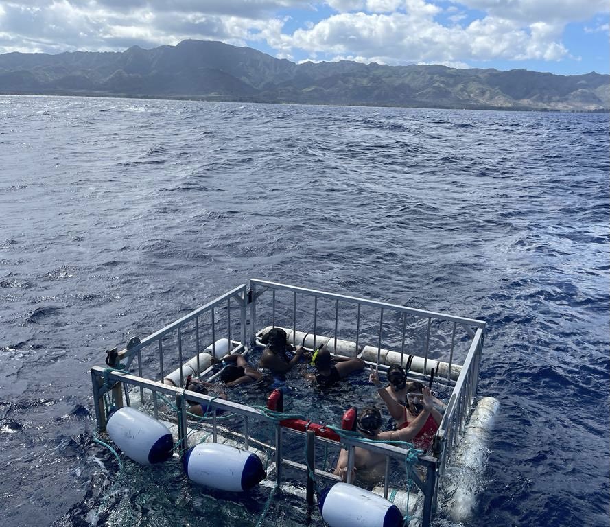 Nothing like a swim with sharks to fire you up for Peak 21 ⁦<a href="/TMobilePR/">T-Mobile Puerto Rico</a>⁩