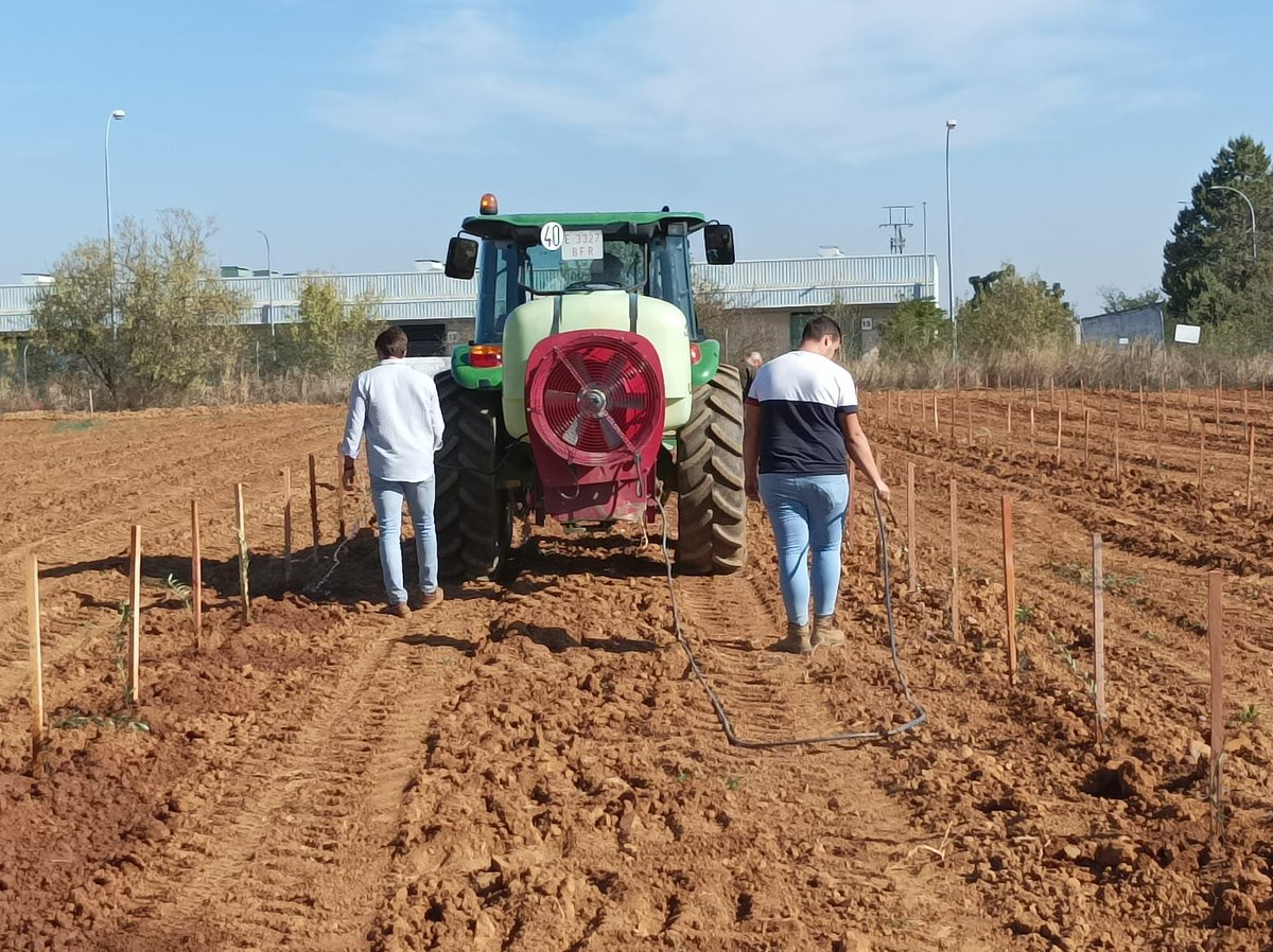 Agromillora tweet media