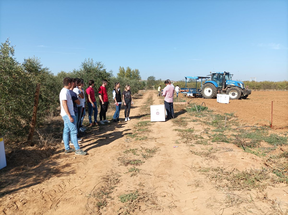 Agromillora tweet media