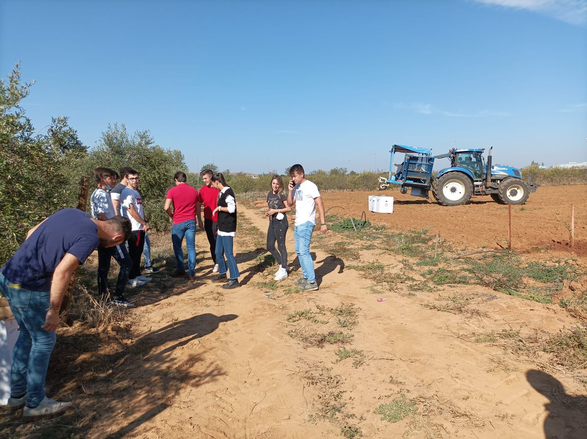 Agromillora tweet media