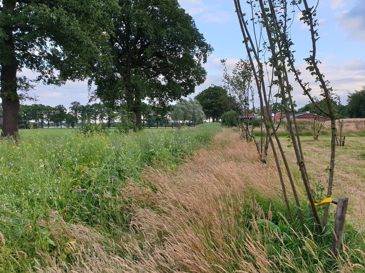 Notenteelt.com tweet media