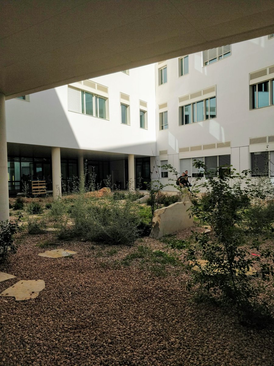 FPaysage's tweet photo. Pôle chimie Balard à Montpellier – CNRS
La saison des constats de reprise bat son plein! A Montpellier nos jardins sur gravier se sont bien installés! 🌸🌼😀
RRA, Architectes
Oteis, Bureau d’étude et économiste
AtFP, Maîtrise d'œuvre des espaces extérieurs
Entreprise : IDVERDE https://t.co/NxQp6opywy