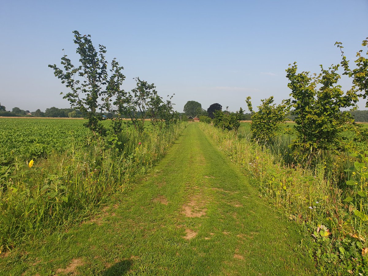 Notenteelt.com tweet media