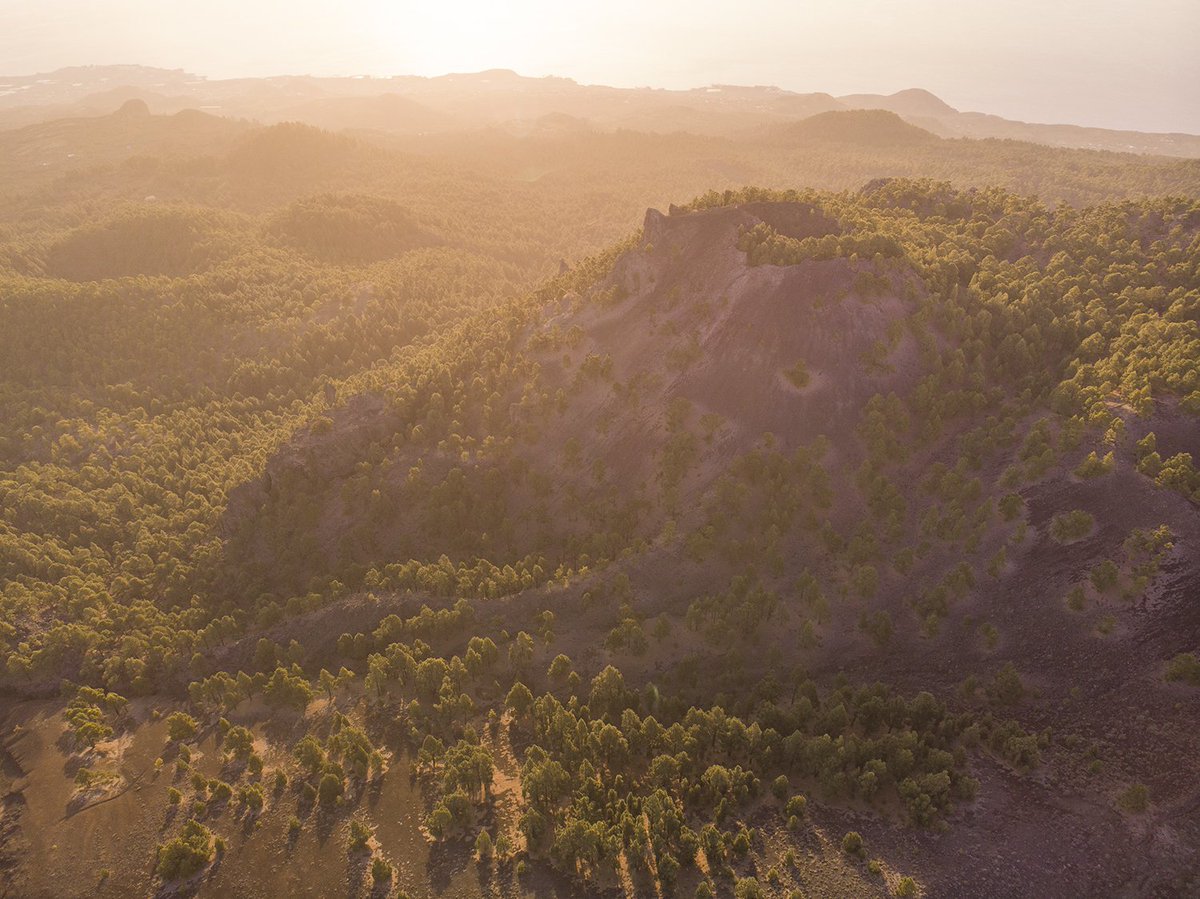 Imanol Zuaznabar tweet media