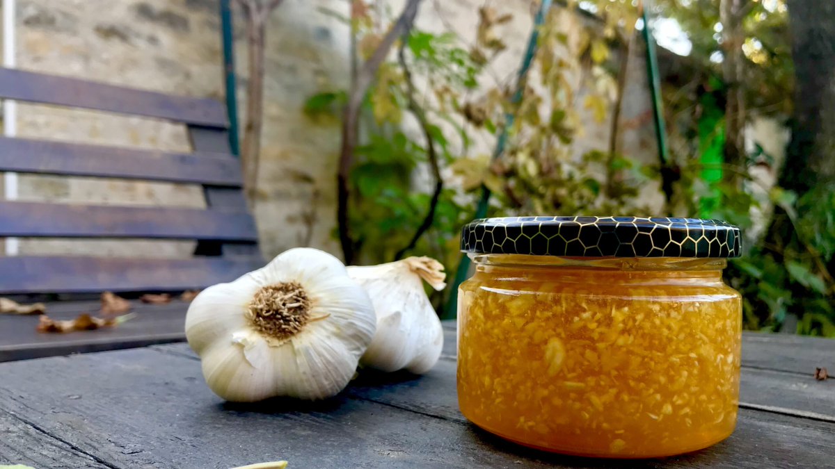 agromediaportal's tweet photo. Kada se spoji mladost, ljubav prema prirodi, želja i inovativnost, dobije se uspešna poljoprivredna proizvodnja, u ovom slučaju belog luka...
https://t.co/5xfzXYBUpl #agromedia #beliluk https://t.co/8XHVf9njZW