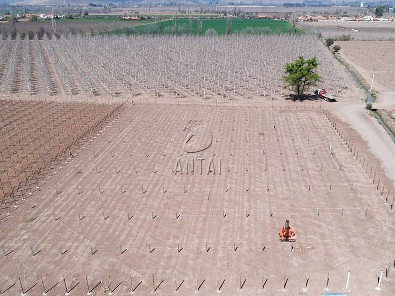 Antaisolar's tweet image. A closer look at the solar plant lies in the winery and you could even find the grapevines in the picture! This is a perfect combination of agricultural and photovoltaics, and the awesome aluminum solar structure is provided by @Antaisolar.
#Groundsolar #Agrivoltaics #Solarenergy