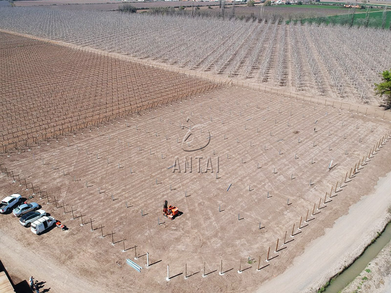 Antaisolar's tweet image. A closer look at the solar plant lies in the winery and you could even find the grapevines in the picture! This is a perfect combination of agricultural and photovoltaics, and the awesome aluminum solar structure is provided by @Antaisolar.
#Groundsolar #Agrivoltaics #Solarenergy